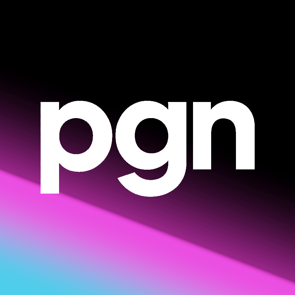 PGNWeb Studio Logo